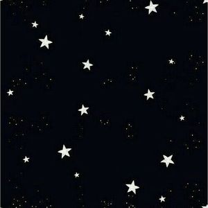 Meet your Posher, Ella